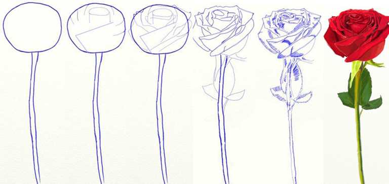 Как сделать розы из бумаги поэтапно для детей